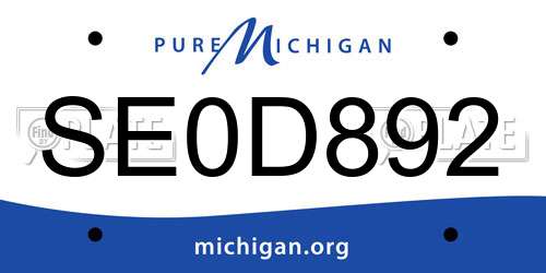 SE0D892 Michigan License Plate