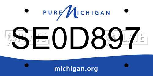 SE0D897 Michigan License Plate