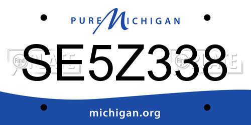 SE5Z338 Michigan License Plate