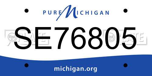 SE76805 Michigan License Plate