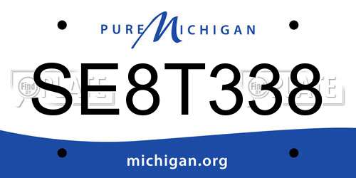 SE8T338 Michigan License Plate