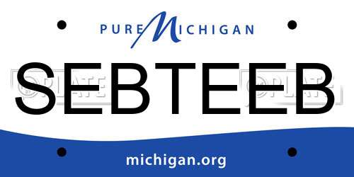 SEBTEEB Michigan License Plate