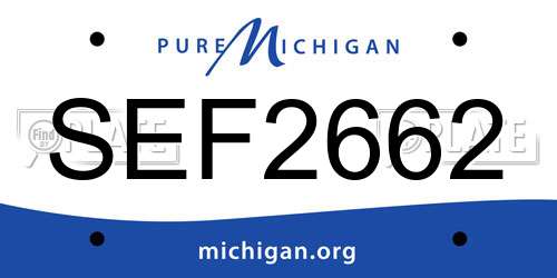 SEF2662 Michigan License Plate