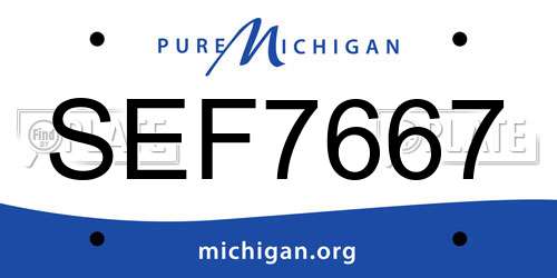 SEF7667 Michigan License Plate