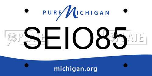 SEIO85 Michigan License Plate