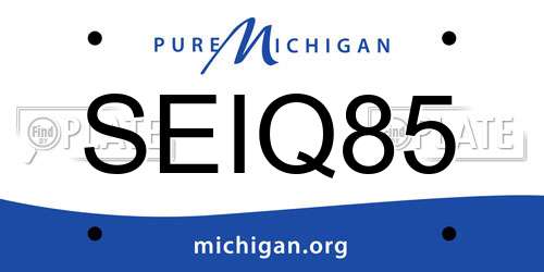 SEIQ85 Michigan License Plate