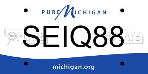 SEIQ88 Michigan License Plate