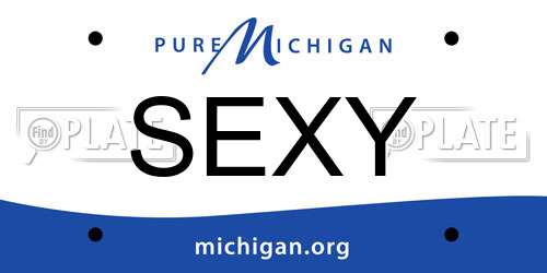 SEXY Michigan License Plate