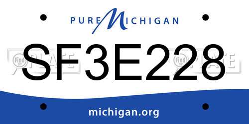 SF3E228 Michigan License Plate
