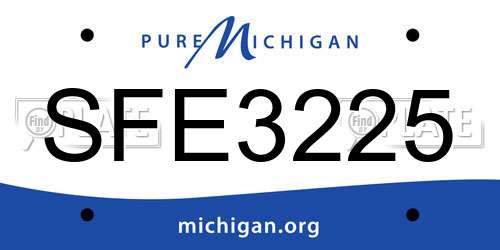 SFE3225 Michigan License Plate