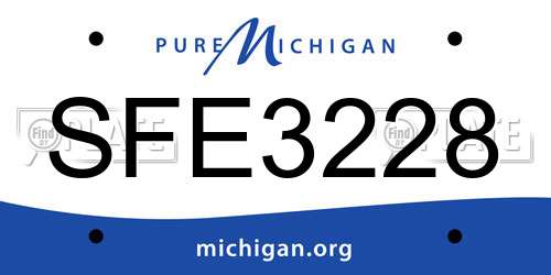 SFE3228 Michigan License Plate