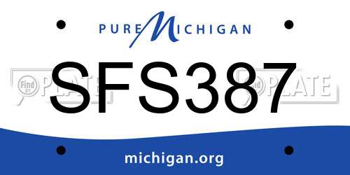 SFS387 Michigan License Plate