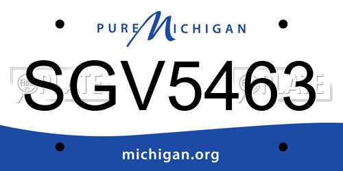 SGV5463 Michigan License Plate