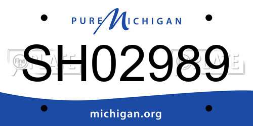 SH02989 Michigan License Plate