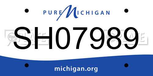 SH07989 Michigan License Plate