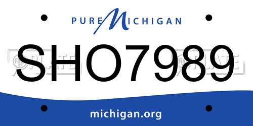 SHO7989 Michigan License Plate