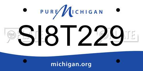 SI8T229 Michigan License Plate