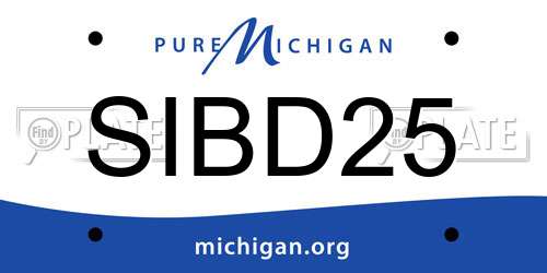SIBD25 Michigan License Plate