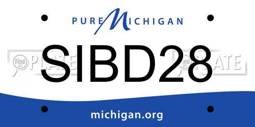 SIBD28 Michigan License Plate