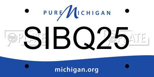 SIBQ25 Michigan License Plate