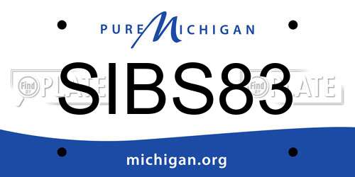 SIBS83 Michigan License Plate