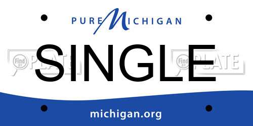 SINGLE Michigan License Plate