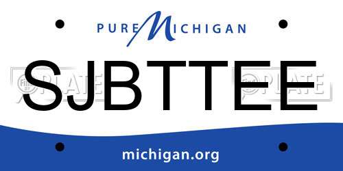SJBTTEE Michigan License Plate