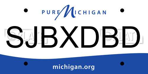 SJBXDBD Michigan License Plate
