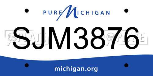 SJM3876 Michigan License Plate