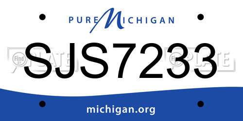 SJS7233 Michigan License Plate