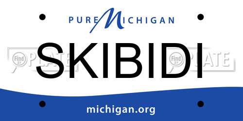 SKIBIDI Michigan License Plate