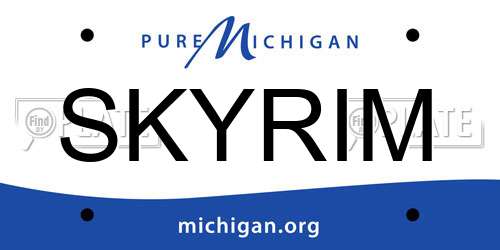 SKYRIM Michigan License Plate