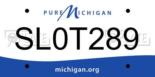 SL0T289 Michigan License Plate