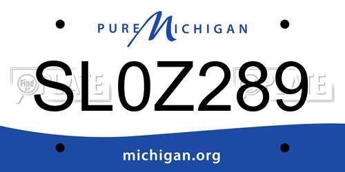 SL0Z289 Michigan License Plate