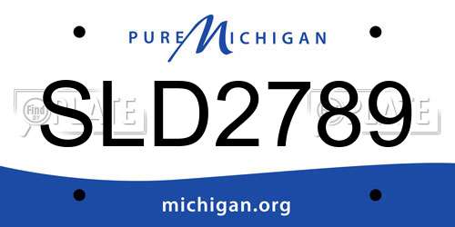SLD2789 Michigan License Plate