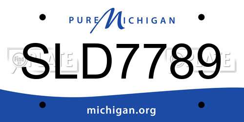 SLD7789 Michigan License Plate
