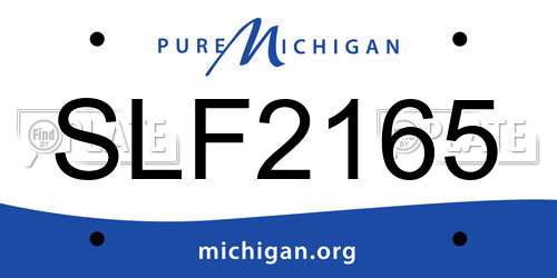 SLF2165 Michigan License Plate
