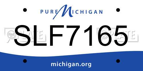 SLF7165 Michigan License Plate
