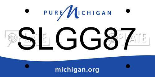 SLGG87 Michigan License Plate