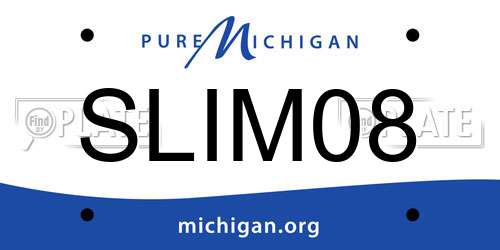 SLIM08 Michigan License Plate