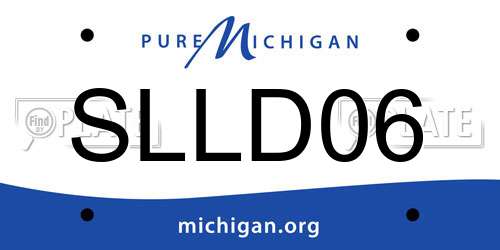 SLLD06 Michigan License Plate
