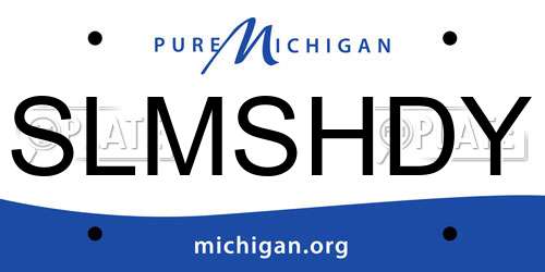 SLMSHDY Michigan License Plate