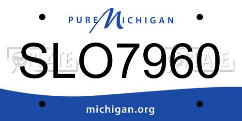 SLO7960 Michigan License Plate