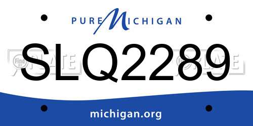 SLQ2289 Michigan License Plate