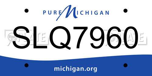 SLQ7960 Michigan License Plate