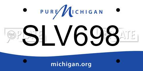 SLV698 Michigan License Plate
