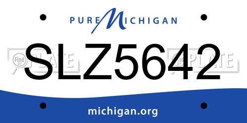 SLZ5642 Michigan License Plate