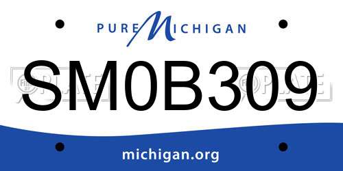 SM0B309 Michigan License Plate