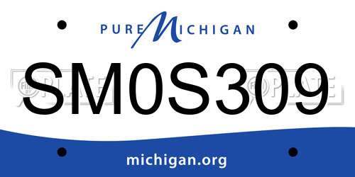 SM0S309 Michigan License Plate