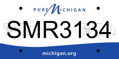 SMR3134 Michigan License Plate